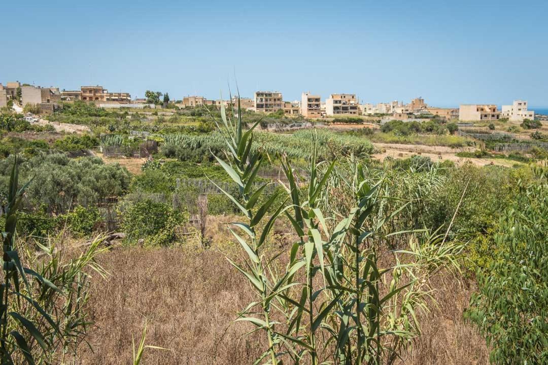 4 Bedroom Farmhouse With Private Pool & Views Nadur Εξωτερικό φωτογραφία